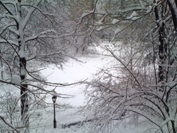 Central Park
