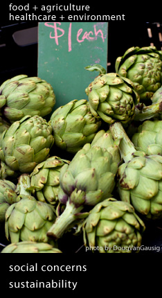 Social Concern, Sustainability